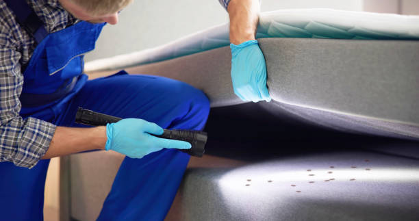 Best Mosquito Control Services  in Kekaha, HI